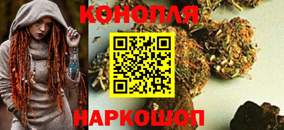 Губкин  Канабис семена  Вход с VPN  Каннабис индика 